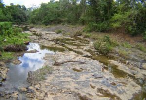 FAO aclara RD es uno de los países más vulnerables al cambio climático, no al hambre