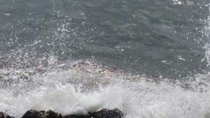 Medio Ambiente reporta resultados de investigación sobre vertidos en mar Caribe  