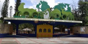 Actividad privada en el zoológico limita acceso al público