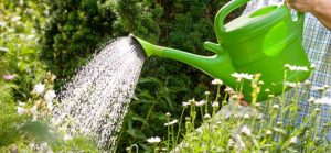 Avergüenzan ricos que malgastan agua en Los Ángeles