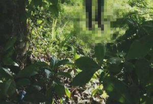 Encuentra joven ahorcado en Las Terrenas