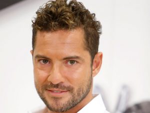 David Bisbal habla de su romance con Rosanna Zanetti
