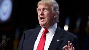 Donald Trump sobre las protestas en su contra: 