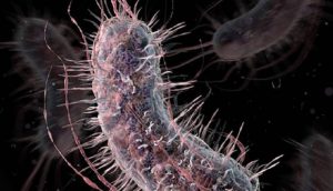 La ‘crisis de los antibióticos’ se agrava en Europa