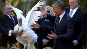 Los últimos pavos de Obama