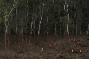 Vecinos desconfían de río brasileño tras el desastre de 2015