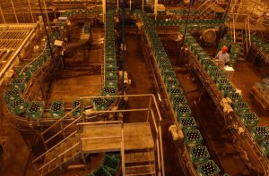 Cervecería Nacional Dominicana aporta más del 1.8% al PIB de RD