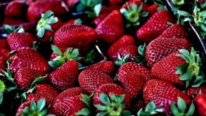 Beneficios que aportan las fresas  