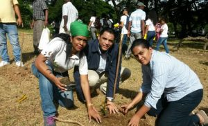 Parque Nacional Mirador Norte realiza jornada de reforestación  