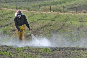 Estudio: Uso intensivo de la tierra reduce la riqueza de especies