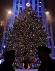 ¿Por qué decoramos un árbol en Navidad?