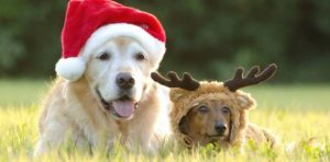 Conoce los diez países donde no se celebra la Navidad
