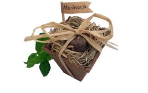 Conoce los regalos ecológicos que puede regalar para navidad 