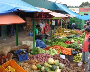 Aumentan precios de productos de primera necesidad en Santiago  