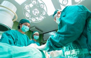 Estudio revela que un órgano digestivo había sido considerado erróneo