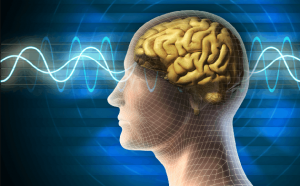  Innovador Chip que promete recuperar la memoria