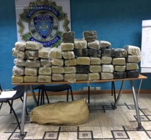 Apresan pareja con 243 libras de marihuana en su vivienda