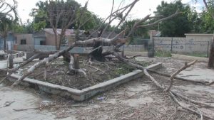 Azua: parque de Guayacanal abandonado y autoridades se muestran indiferentes
