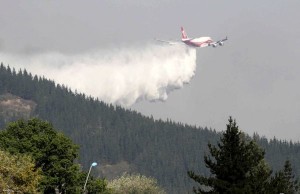Según reporta la Corporación Nacional Forestal CONAF, la tragedia se agiganta y agrega a cada minuto nuevos focos que suman unas 238.000 hectáreas de bosques aniquiladas por llamas que acorralaron a dos policías provocando su muerte