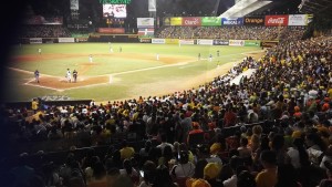 !Tigres campeones!