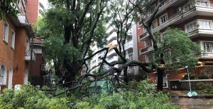 Uruguay: temporal deja 17 heridos 