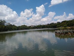 Hallan cuerpo de un recién nacido en lago de un parque de Brasil