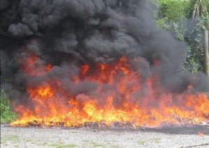 Procuraduría incinera 205 kilogramos de drogas decomisados en el país 