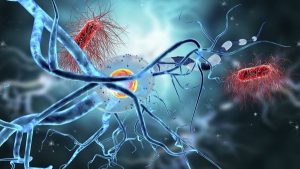 Las neuronas ayudan al desarrollo del cáncer en el cuerpo