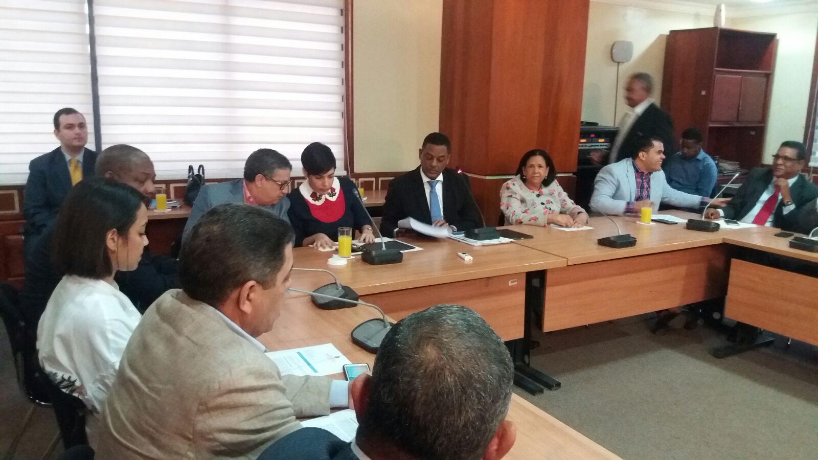 Presidenta de Pro Competencia reunida con comisión de Hacienda CD
