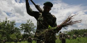 ONU confía en que el acuerdo de paz mejore la lucha antidrogas en Colombia