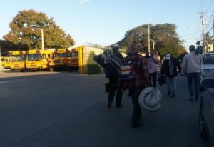 Peregrinos siguen sin burros su ruta hacia el Palacio
