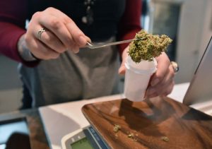 Lanzan primer estudio con cannabis de Latinoamérica para pacientes con cáncer