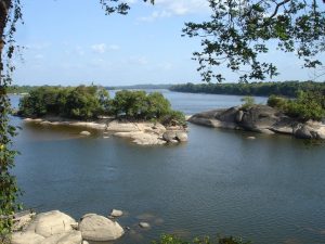 Venezuela: declaran gran área silvestre como parque nacional 