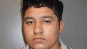 EEUU: Hondureño decapitó a su madre porque 