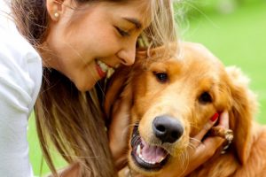 Estudio revela que hablar con las mascotas es signo de inteligencia 