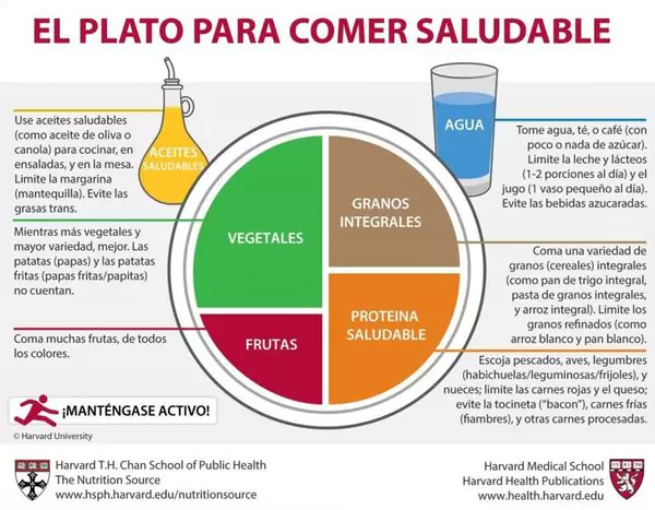 El "plato de los 4 colores" que garantiza el éxito de una dieta