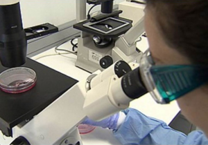 Viruscan, proyecto europeo que busca detectar el ébola o el zika en minutos