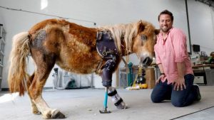 Derrick Campana: cambia la vida de los animales gracias a su ingenio