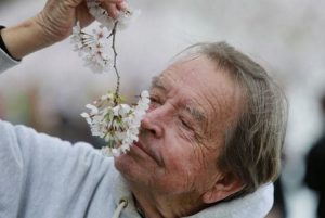 Cómo es perder el sentido del gusto y el olfato