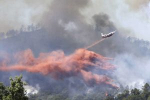 Francia: detenidos dos adolescentes sospechosos de provocar un incendio forestal