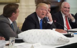 US President Donald Trump speaks during a Made in America event with US manufacturers in the East Room of the White House in Washington, DC, July 19, 2017. / AFP PHOTO / SAUL LOEB
