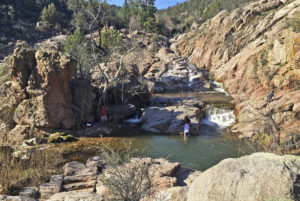 Nueve miembros de familia mexicana mueren en Arizona