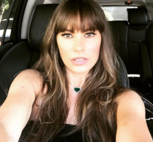 El sorpresivo cambio de look de Sofía Vergara
