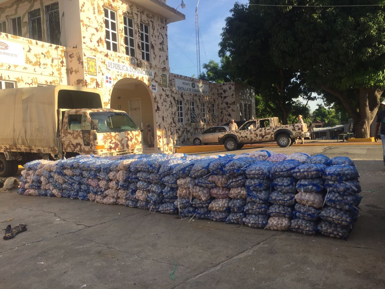 Cesfront decomisa más de 5,000 libras de ajo en Dajabón
