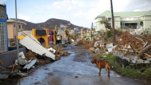 Dominica devastada como Barbuda tras paso de huracán María