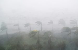 Huracán Irma se debilita pero continúa golpeando a Florida 