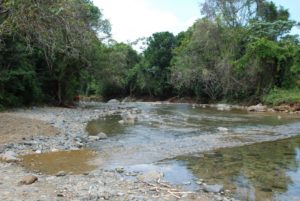 Buscan hombre desaparecido en río Jovero el Seibo

