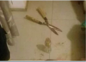 Brenda Barattini, de 26 años, se encuentra detenida en la provincia argentina de Córdoba por haberle cortado el pene y los testículos a su amante, de 40 años, 