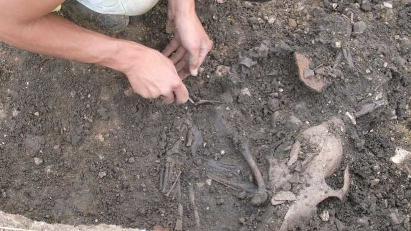 Arqueólogos rusos descubren restos de 70 víctimas decapitadas de una ejecución en masa