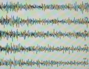 Sismo de magnitud 5,6 sacude la provincia amazónica de Ecuador